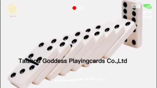 Juego de bloques de dominó con logotipo personalizado Juego de rompecabezas para niños